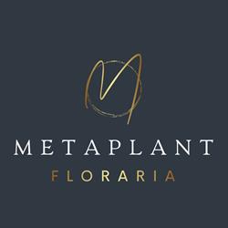 METAPLANT SRL, Satu Mare