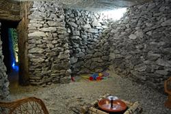Salina Salis, Timişoara