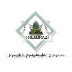TREI BRAZI PROD COM SRL, Bistriţa