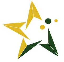 GOLDEN STAR SRL, Paşcani