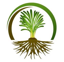 Bio Holistic SRL, Oradea