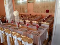 CRISFIC COM SRL, Tileagd