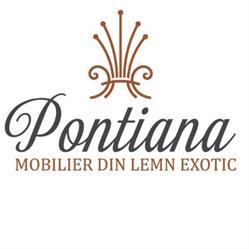 PONTIANA TRADE SRL, Braşov