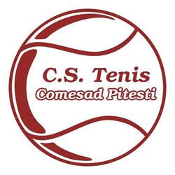 Complex Sportiv Comesad, Piteşti