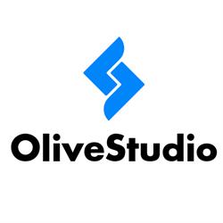 OLIVE STUDIO SRL, Sibiu