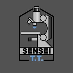SENSEI T.T. SRL, Timişoara