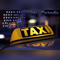 PARADIS MARIO TAXI SRL, Caracal