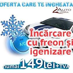 Service Auto Zebra, Cluj-Napoca