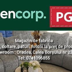 PGS SOFA & CO SRL, Oradea