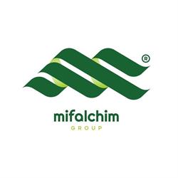 MIFALCHIM GROUP SRL, Oneşti