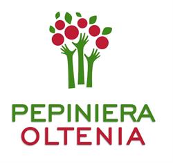 Pepiniera Oltenia, Târgu Jiu