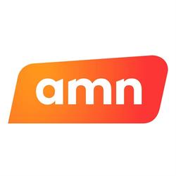 AMN SYSTEMS RO SRL, Cisnădie