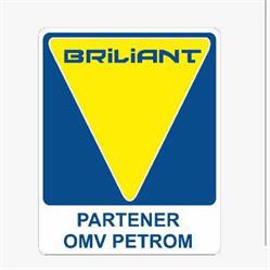 BRILIANT SRL, Roman