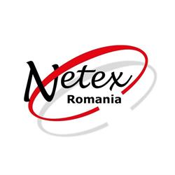 Netex, Timişoara