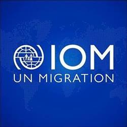 OIM - IOM Romania, Bucureşti