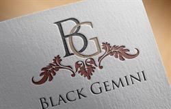 BLACK GEMINI SRL, Cluj-Napoca