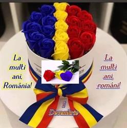 Centrul Şcolar de Educaţie Incluzivă Turnu Roşu