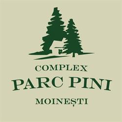 Complex Parc Pini, Moineşti