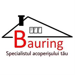 BAURING SRL, Deva