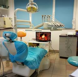 Dr. Roman Leonard, Timişoara