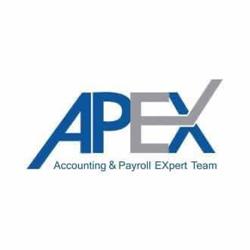 APEX TEAM INTERNATIONAL SRL, Bucureşti