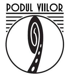 PODUL VIILOR 9 SRL, Baia Mare