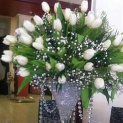 Elegance Design, Iaşi