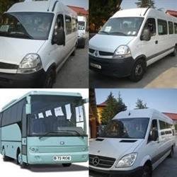 ROESTA SRL, Curtea de Argeş