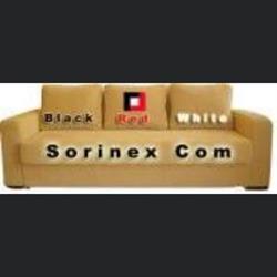 SORINEX COM SRL, Topliţa
