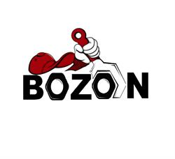 BOZON AUTO SRL, Bucureşti