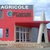 F.C. SERVIZI SRL, Pecica
