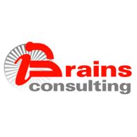 BRAINS CONSULTING SRL, Timişoara