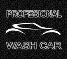 PROFESIONAL WASH CAR SRL, Piteşti