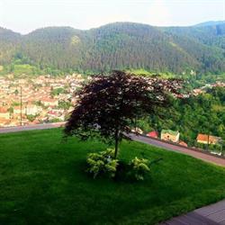 MSE NEW GARDEN -Proiectari Peisagistice Brasov