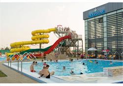 S.C. Solarex S.R.L, Satu Mare