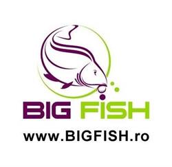 Big Fish, Bucureşti