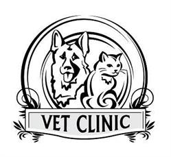 Vet Clinic, Oradea