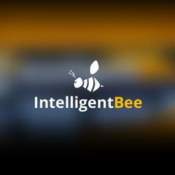 Intelligent Bee, Iaşi