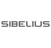 Sibelius Srl, Suceava