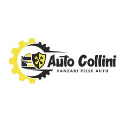 AUTO Collini, Pantelimon