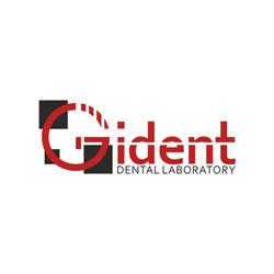 GIDENT SRL, Baia Mare