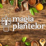 Magia Plantelor, Craiova