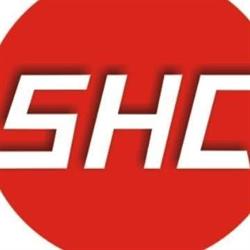 SHINHEUNG ELECTRONICS SRL, Oradea