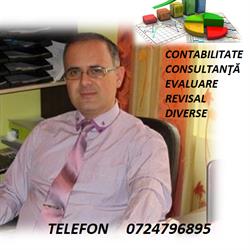 CONSULTING PROCONTAB SRL, Făget