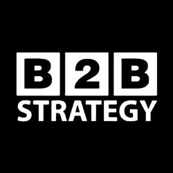 B2B Strategy, Timişoara