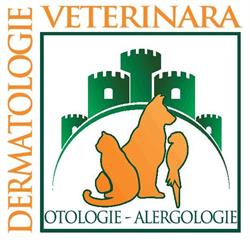 Regatul Animalelor, Bucureşti