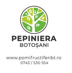 Pepiniera Botoşani