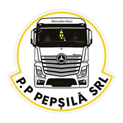 P.P.PEPSILA SRL, Plugova