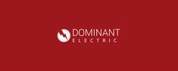 DOMINANT ELECTRIC SRL, Târgu Mureş