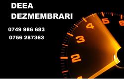 DEZMEMBRĂRI DEEA SRL, Nuşfalău